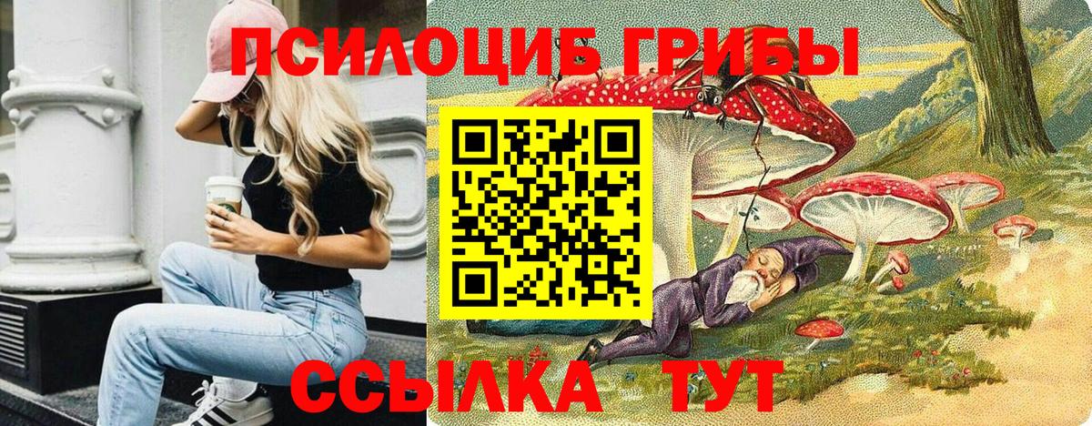 Галлюциногенные грибы мицелий Будённовск